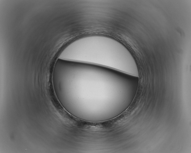 X0000111640548200907171040