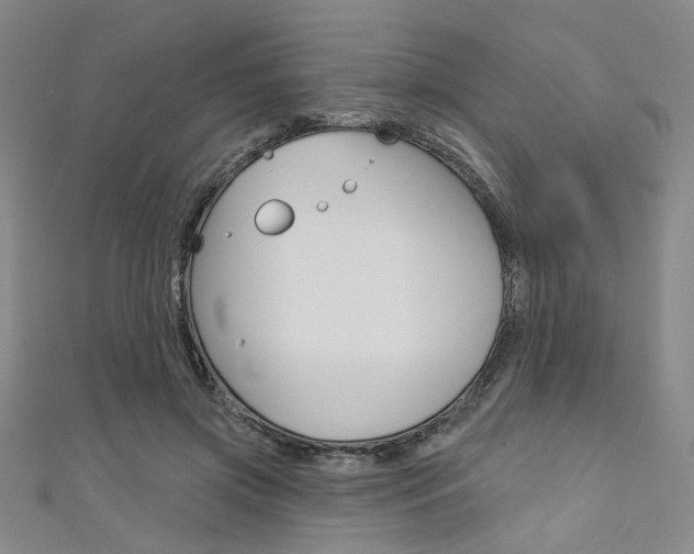 X0000111640549200907171040