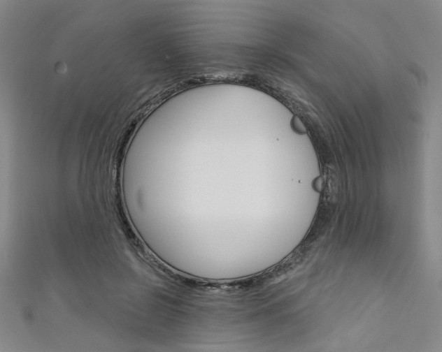 X0000111640550200907171040