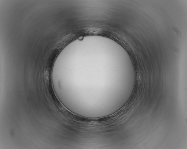 X0000111640551200907171040