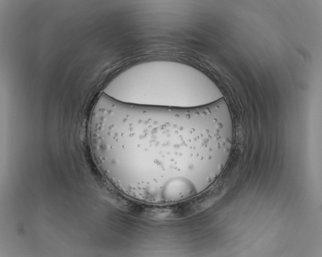X0000111640554200907171040