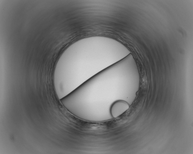 X0000111640555200907171040
