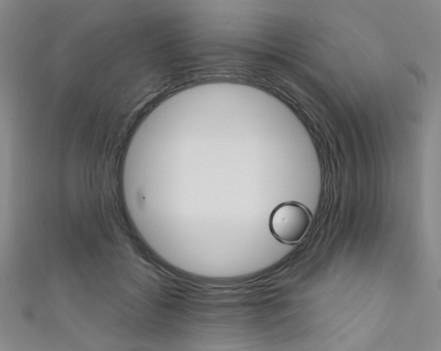 X0000111640556200907171040