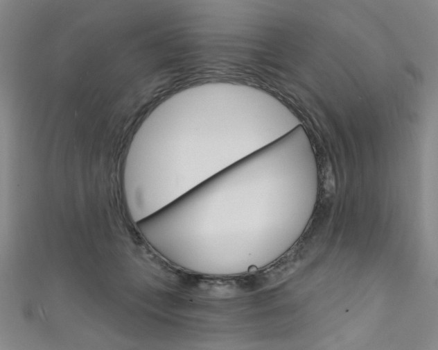 X0000111640559200907171040
