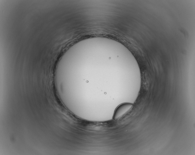 X0000111640563200907171040