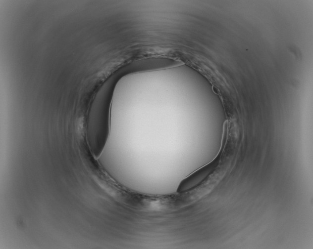X0000111640564200907171040