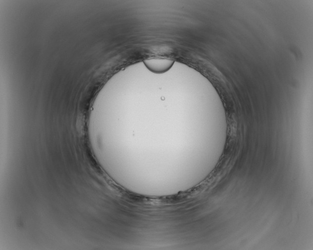 X0000111640565200907171040