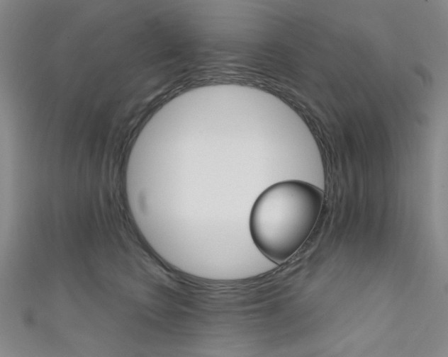 X0000111640566200907171040