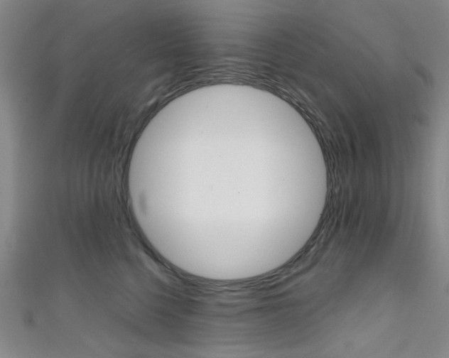 X0000111640568200907171040