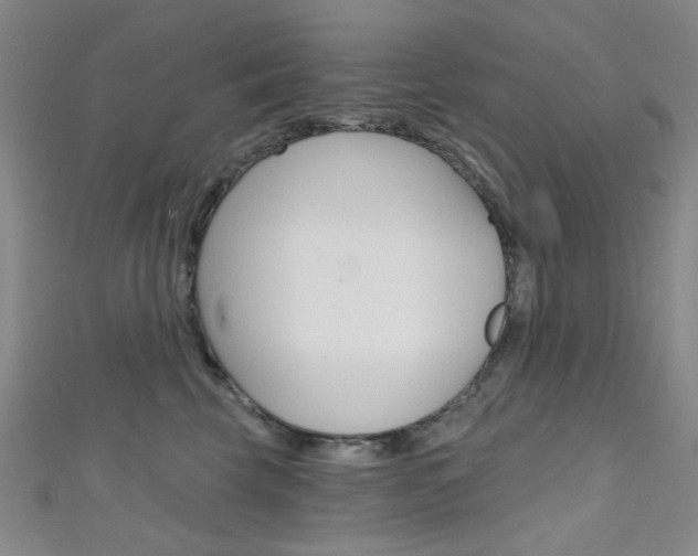 X0000111640569200907171040
