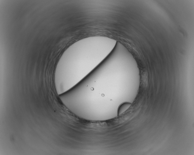 X0000111640571200907171040