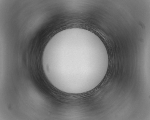 X0000111640572200907171040