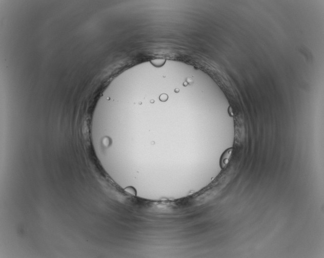 X0000111640573200907171040