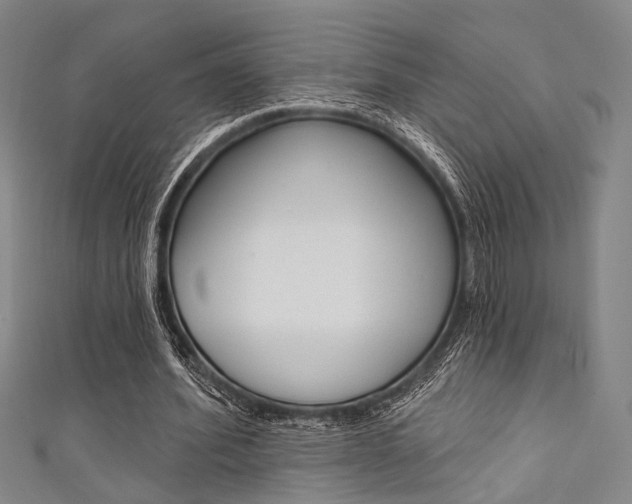 X0000111640580200907171040