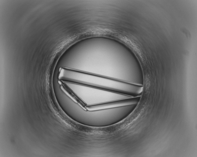 X0000111640581200907171040