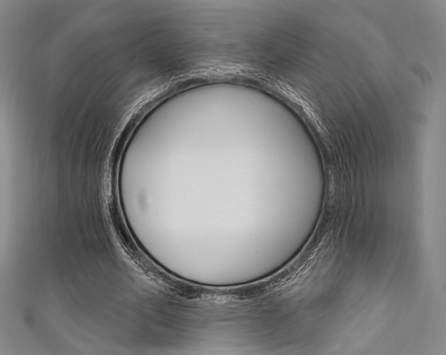 X0000111640582200907171040