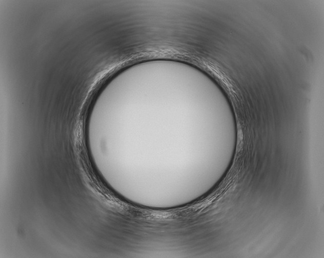 X0000111640583200907171040