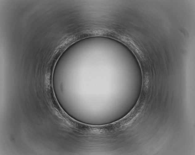 X0000111640585200907171040