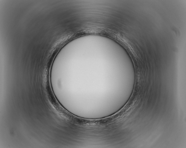 X0000111640586200907171040