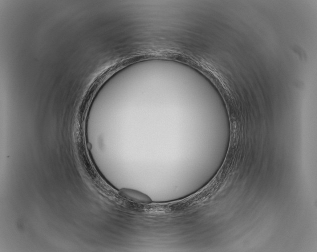 X0000111640587200907171040