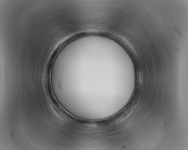 X0000111640588200907171040