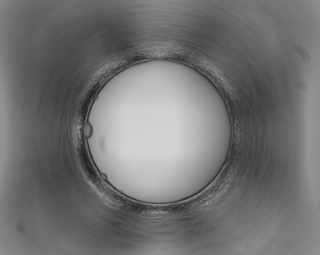 X0000111640590200907171040
