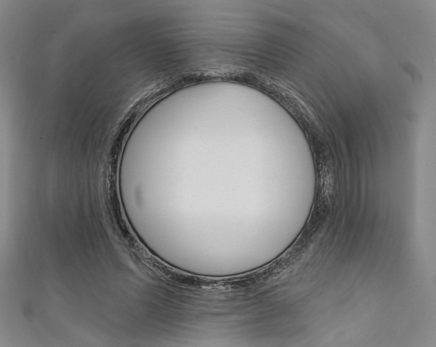 X0000111640591200907171040