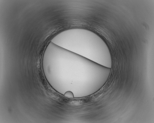 X0000111640595200907171040