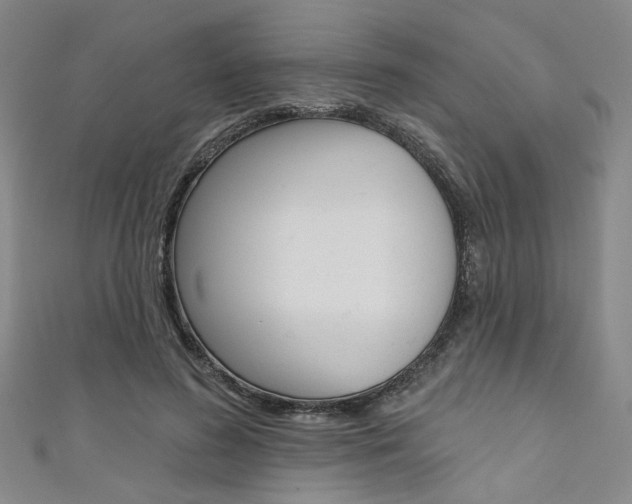 X0000111640596200907171040