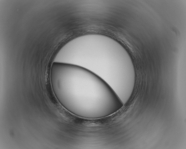 X0000111640597200907171040