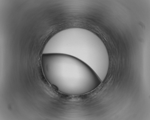 X0000111640601200907171039
