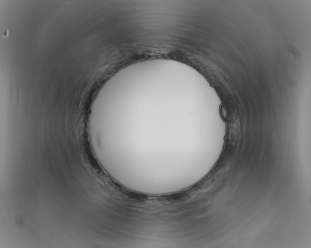 X0000111640608200907171039