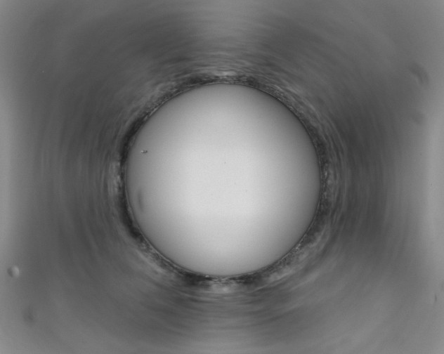 X0000111640612200907171039