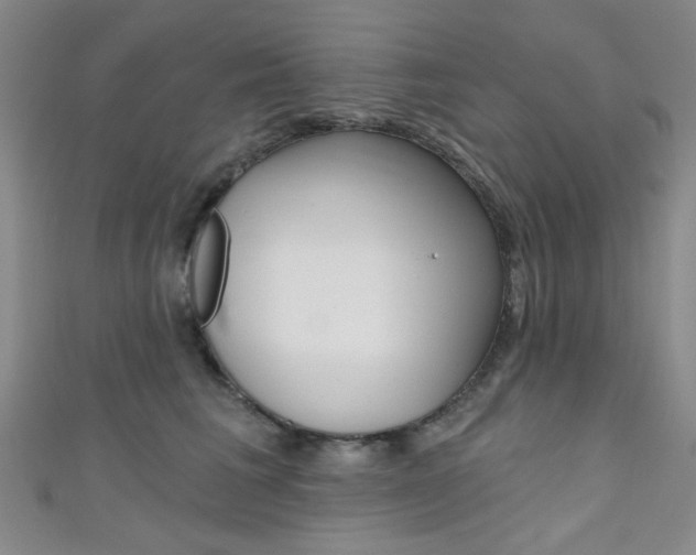X0000111640613200907171039