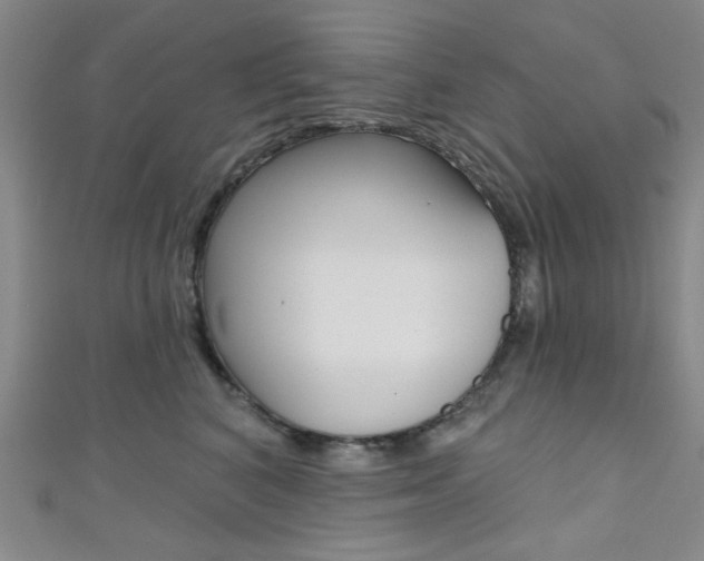 X0000111640616200907171039