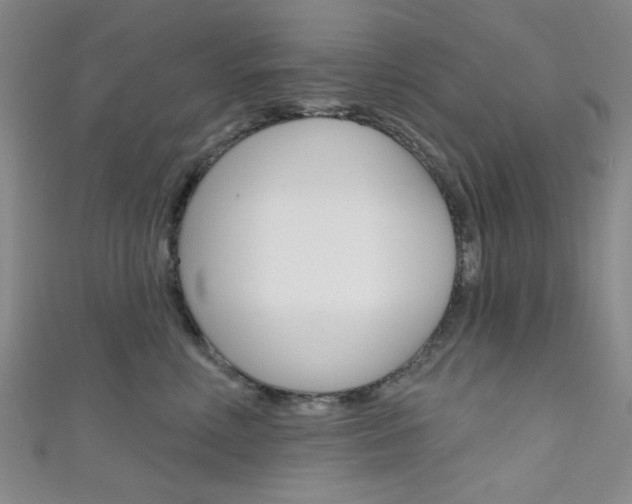 X0000111640618200907171039