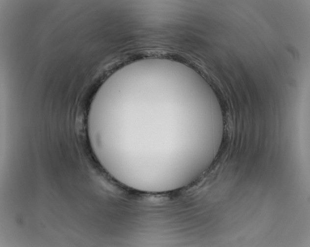 X0000111640619200907171039