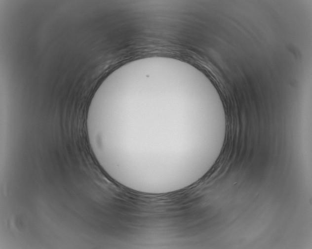 X0000111640621200907171039