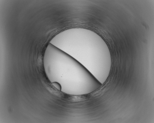 X0000111640623200907171039