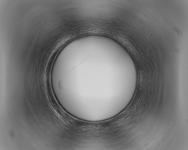 X0000111640626200907171039