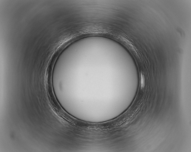 X0000111640627200907171039