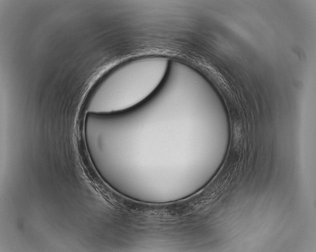 X0000111640628200907171039