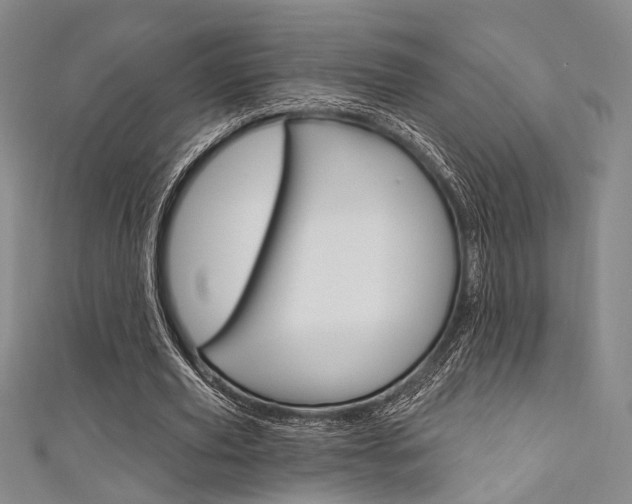 X0000111640629200907171039