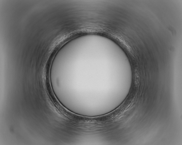X0000111640631200907171039
