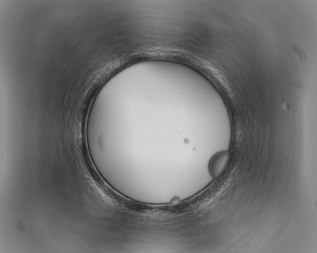 X0000111640633200907171039