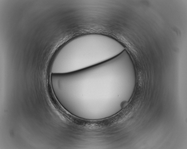 X0000111640634200907171039