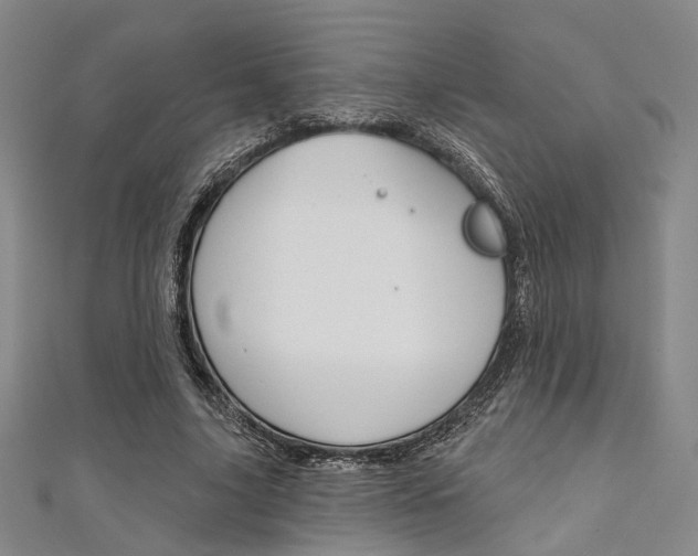 X0000111640635200907171039