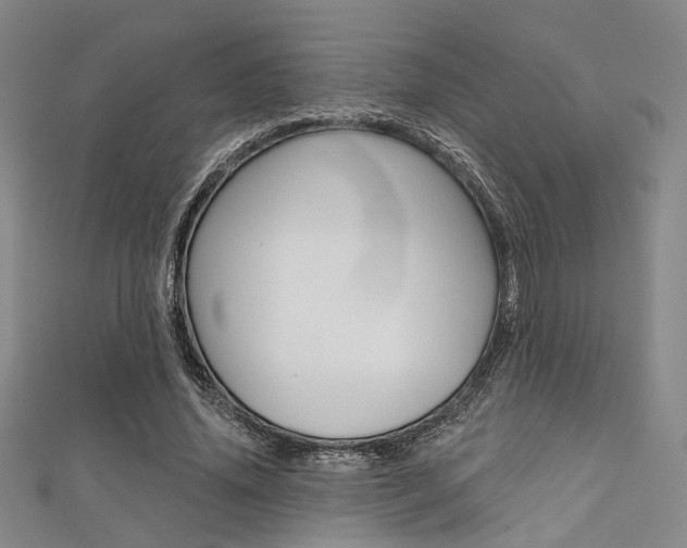 X0000111640636200907171039