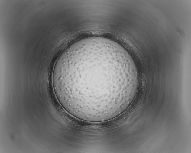 X0000111640639200907171039