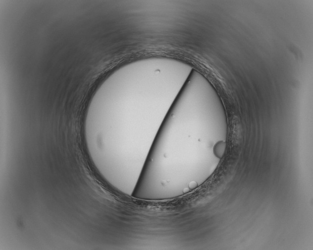 X0000111640641200907171039